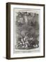 Passengers of The Meridian Ascending the Cliffs of the Island of Amsterdam-null-Framed Giclee Print