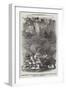 Passengers of The Meridian Ascending the Cliffs of the Island of Amsterdam-null-Framed Giclee Print