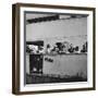 Passengers on a Cunard Line Cruise to the West Indies, January-March 1931-null-Framed Photographic Print