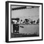 Passengers on a Cunard Line Cruise to the West Indies, January-March 1931-null-Framed Photographic Print