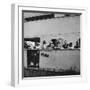 Passengers on a Cunard Line Cruise to the West Indies, January-March 1931-null-Framed Photographic Print