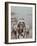 Passengers on the London Steamboat Service, River Thames, London, 1907-null-Framed Photographic Print