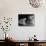 Passengers Riding in Lounge Car of Train-Alfred Eisenstaedt-Photographic Print displayed on a wall