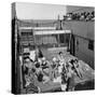 Passengers Sunbathing on a Cunard Line Cruise to the West Indies, January-March 1931-null-Stretched Canvas