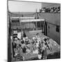 Passengers Sunbathing on a Cunard Line Cruise to the West Indies, January-March 1931-null-Mounted Photographic Print