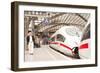 Passengers Waiting to Board a Highspeed Ice Train in Cologne Railway Station-Julian Elliott-Framed Photographic Print