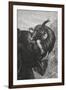 Passepartout Sitting On the Trunk Of an Elephant. 'Around the World in Eighty Days' Illustration-M.M. De Neuville-Framed Giclee Print