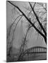 Passerelle Debilly Bridge on a Foggy Winter Day with the Eiffel Tower in the Background-Ed Clark-Mounted Photographic Print