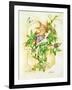 Passiflora-Linda Ravenscroft-Framed Giclee Print