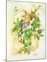 Passiflora-Linda Ravenscroft-Mounted Giclee Print