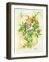 Passiflora-Linda Ravenscroft-Framed Giclee Print