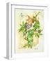 Passiflora-Linda Ravenscroft-Framed Giclee Print