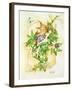 Passiflora-Linda Ravenscroft-Framed Giclee Print