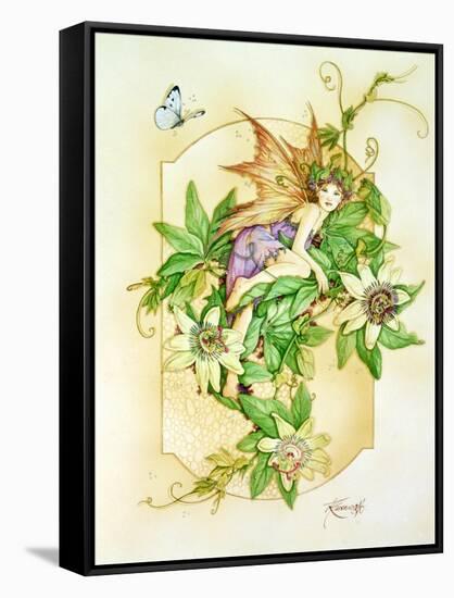 Passiflora-Linda Ravenscroft-Framed Stretched Canvas