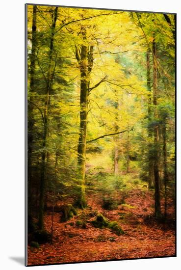 Passing By-Philippe Sainte-Laudy-Mounted Photographic Print