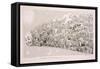 Passing Events, or the Tail of the Comet of 1853-George Cruikshank-Framed Stretched Canvas