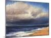 Passing Storm by the Beach-Tim O'toole-Mounted Giclee Print