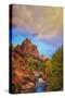 Passing Storm, Zion Canyon, Southern Utah-Vincent James-Stretched Canvas