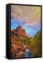 Passing Storm, Zion Canyon, Southern Utah-Vincent James-Framed Stretched Canvas