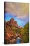 Passing Storm, Zion Canyon, Southern Utah-Vincent James-Stretched Canvas