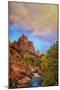 Passing Storm, Zion Canyon, Southern Utah-Vincent James-Mounted Photographic Print