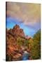 Passing Storm, Zion Canyon, Southern Utah-Vincent James-Stretched Canvas