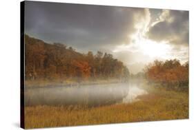 Passing Storm-Andreas Stridsberg-Stretched Canvas