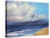 Passing Storm-Tim O'toole-Stretched Canvas