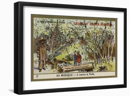 Passing Through a Forest, Mexico-null-Framed Giclee Print