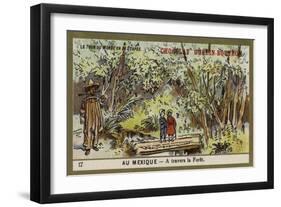 Passing Through a Forest, Mexico-null-Framed Giclee Print