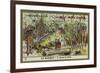 Passing Through a Forest, Mexico-null-Framed Giclee Print