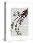 Passion Flower Bird-Fab Funky-Stretched Canvas