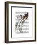 Passion Flower Bird-Fab Funky-Framed Art Print