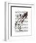 Passion Flower Bird-Fab Funky-Framed Art Print