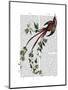 Passion Flower Bird-Fab Funky-Mounted Art Print