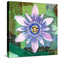 Passion Flower II-Jenny McGee-Stretched Canvas