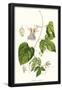Essential Black