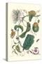 Passion Flower with Leaf-Footed Plant Bug-Maria Sibylla Merian-Stretched Canvas