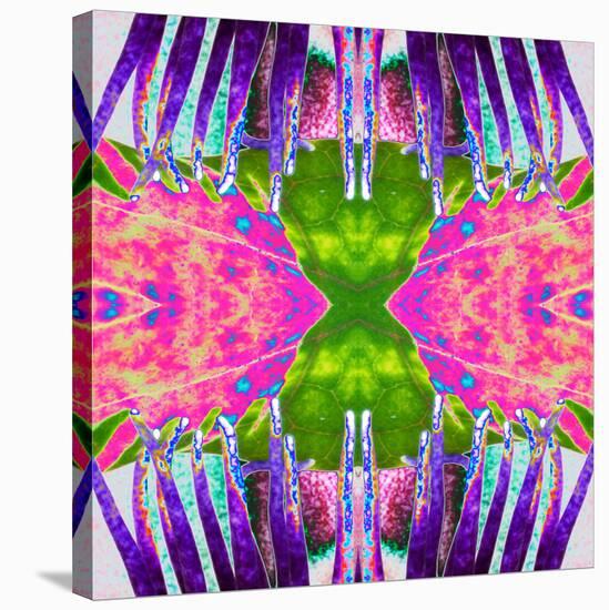 Passion Flower X2-Rose Anne Colavito-Stretched Canvas
