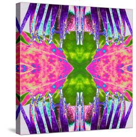 Passion Flower X2-Rose Anne Colavito-Stretched Canvas