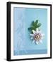 Passion Flower-Amelie Vuillon-Framed Art Print