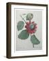 Passion Flower-Pierre-Joseph Redoute-Framed Art Print