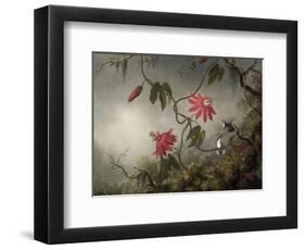 Passion Flowers and Hummingbirds, about 1870-83-Martin Johnson Heade-Framed Art Print