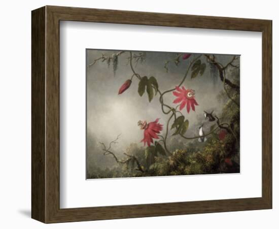Passion Flowers and Hummingbirds, about 1870-83-Martin Johnson Heade-Framed Art Print