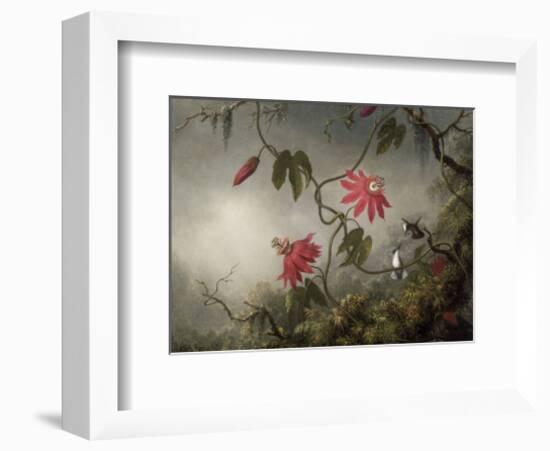 Passion Flowers and Hummingbirds, about 1870-83-Martin Johnson Heade-Framed Art Print