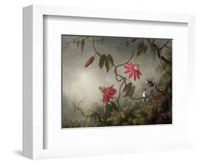 Passion Flowers and Hummingbirds, about 1870-83-Martin Johnson Heade-Framed Art Print