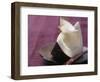 Passion Fruit and Coconut Cream in a Wedge of Coconut-Eising Studio - Food Photo and Video-Framed Photographic Print