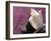 Passion Fruit and Coconut Cream in a Wedge of Coconut-Eising Studio - Food Photo and Video-Framed Photographic Print