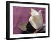 Passion Fruit and Coconut Cream in a Wedge of Coconut-Eising Studio - Food Photo and Video-Framed Photographic Print