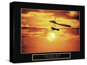 Passion - Hang Glider-Unknown Unknown-Stretched Canvas